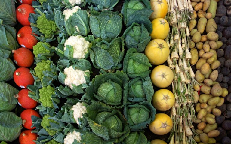 Sustainable Plant Fractionation