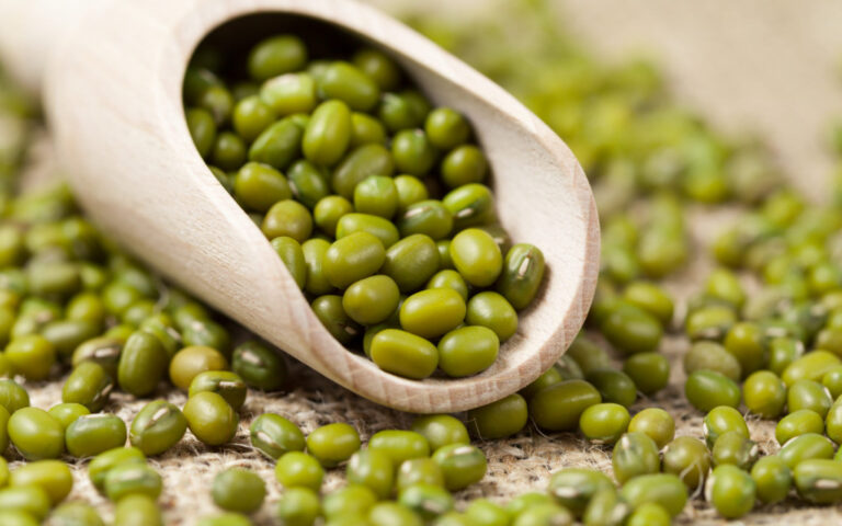 Valorization of plant-based side and waste streams